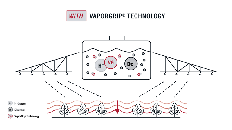Illustrated example of what happens when you plant with VaporGrip Technology
